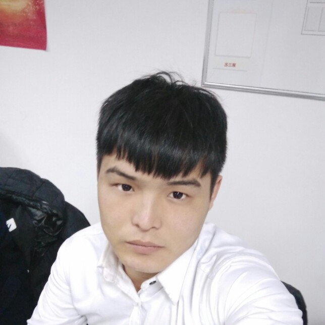 寂冷凝眸金毛的照片