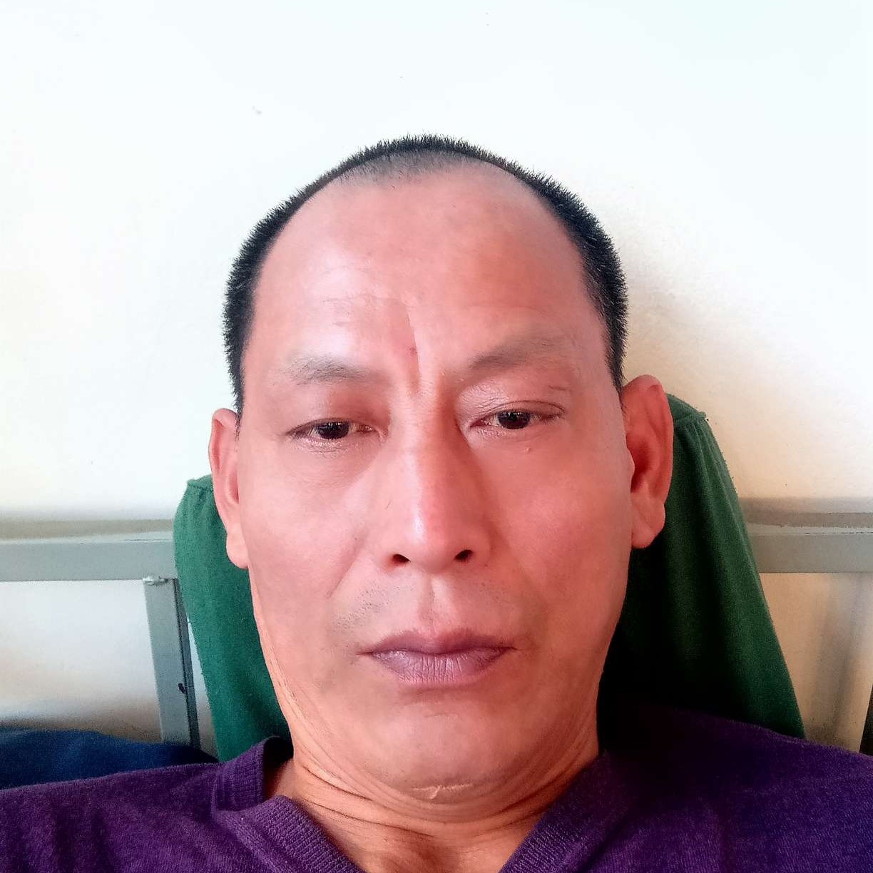 蚂蚁就虚幻的照片