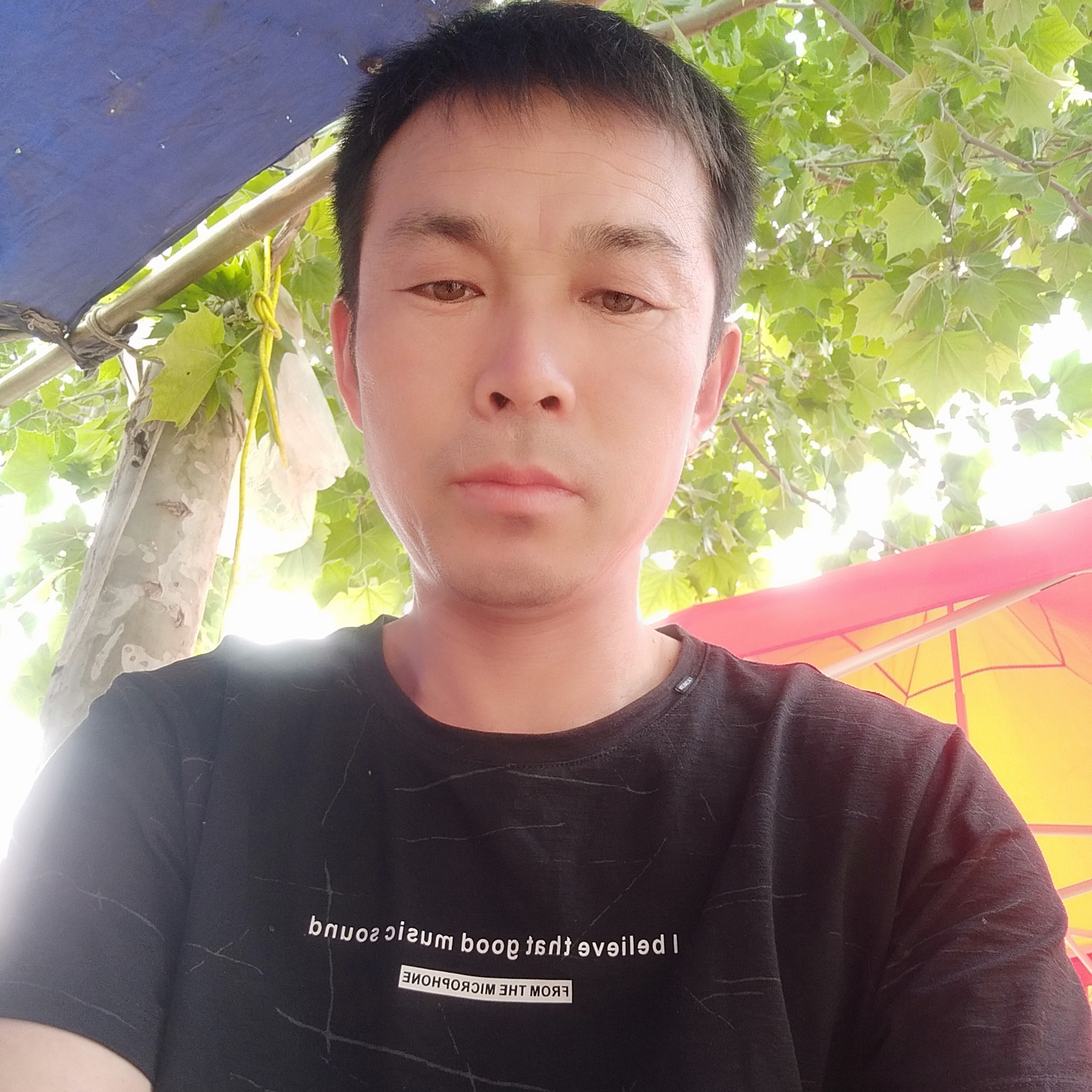 大白回首顺利的照片