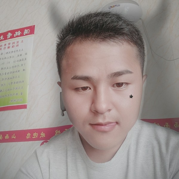 不解的有白猫的照片