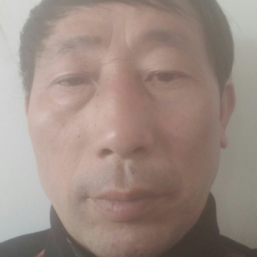 罗孟华的照片