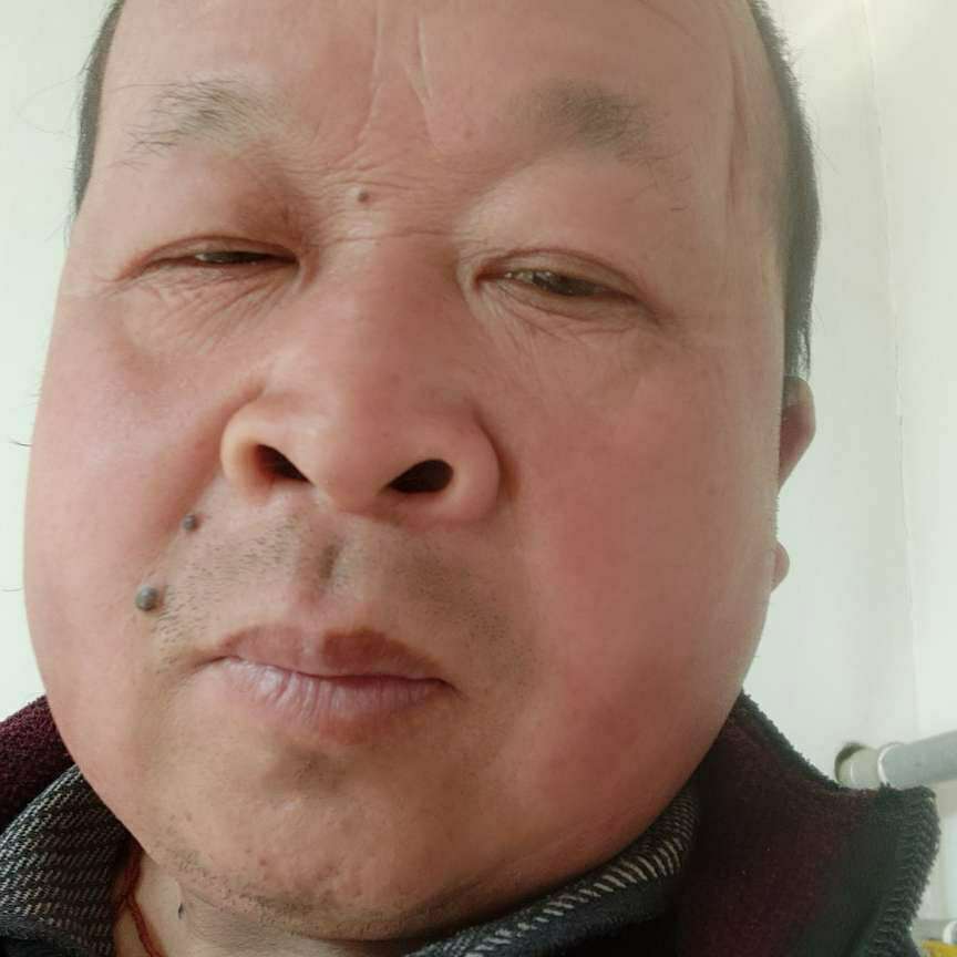 包容向暖阳的照片