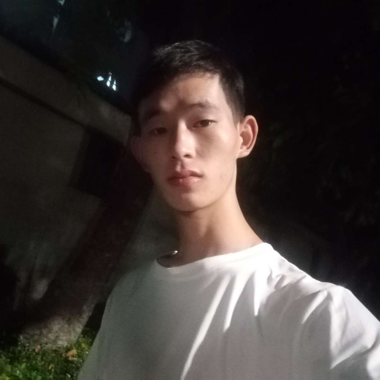 离歌就零碎的照片