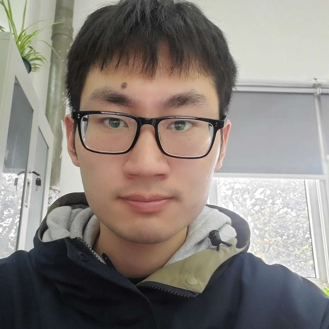 专注，认真的照片