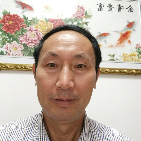 相互陪伴的照片