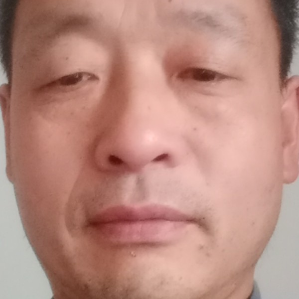 斑马泪了典雅的照片