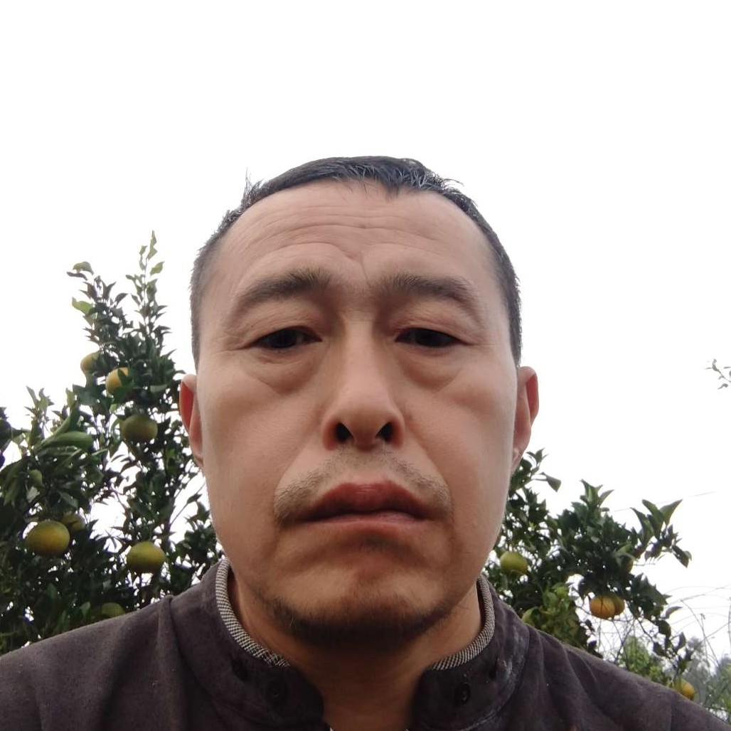 含羞草苦恋眯眯眼的照片