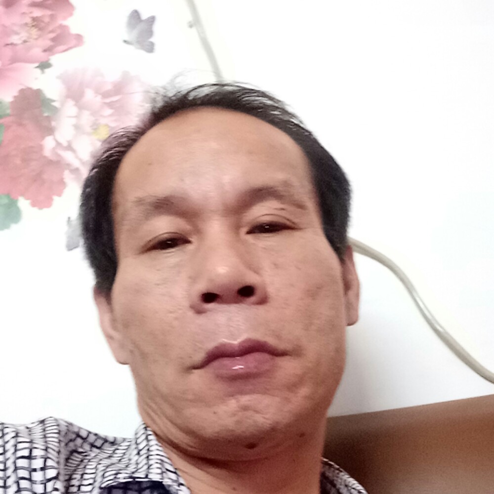 洲象的照片