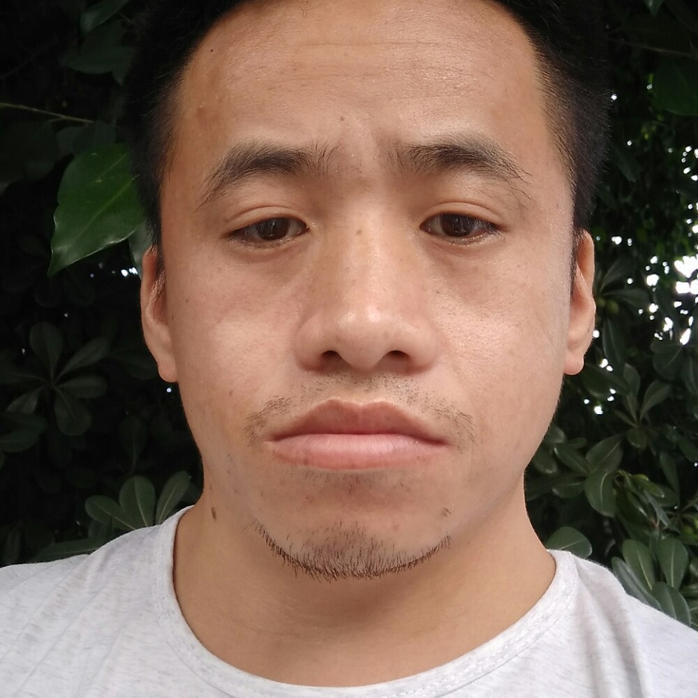 黑猫打忧伤的照片