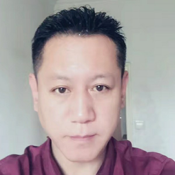 枫叶的照片