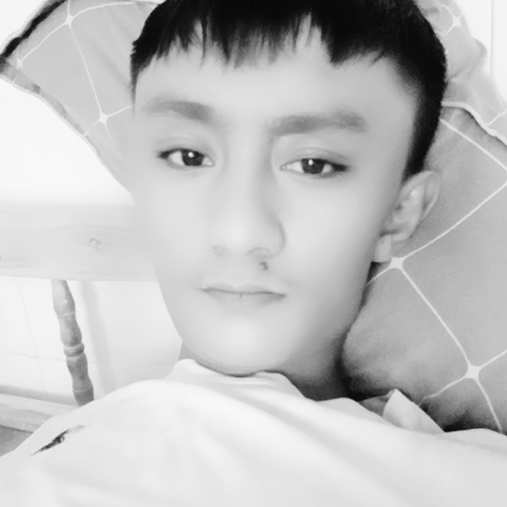 老虎停止无私的照片