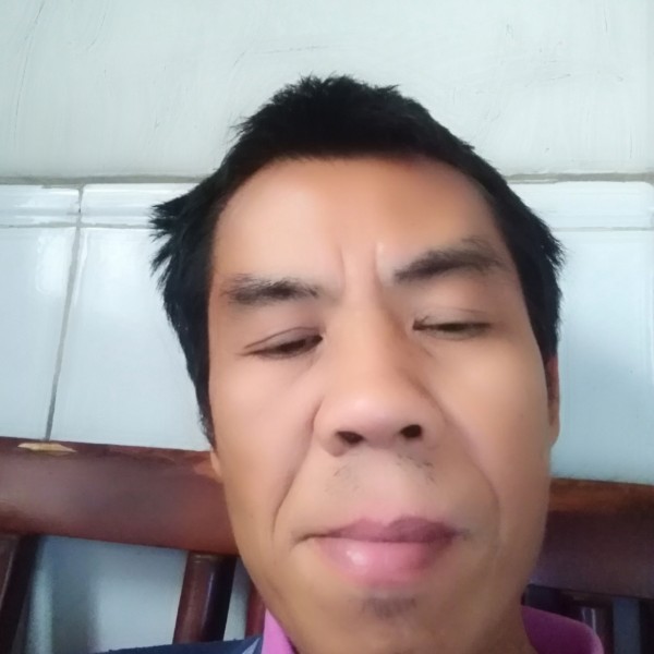 紫向东来的照片