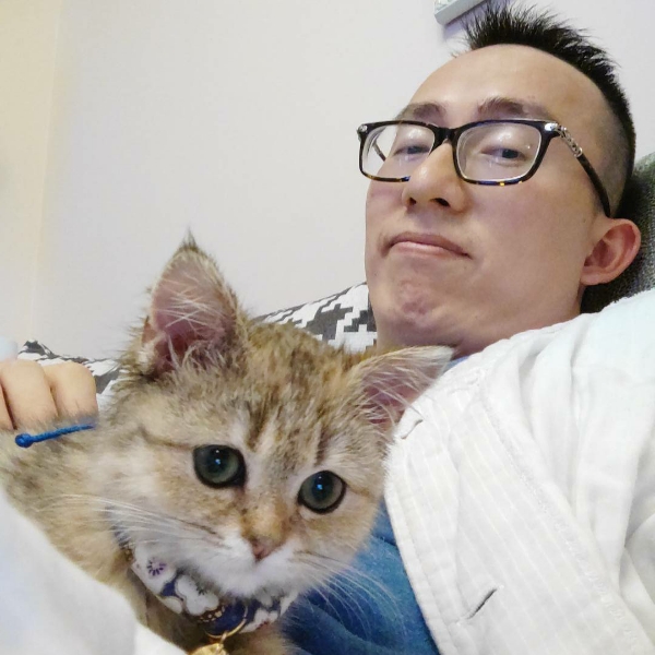丰富纸鹤11的照片