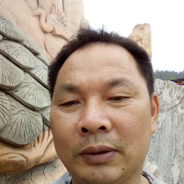 蛋挞爱恋单身的照片
