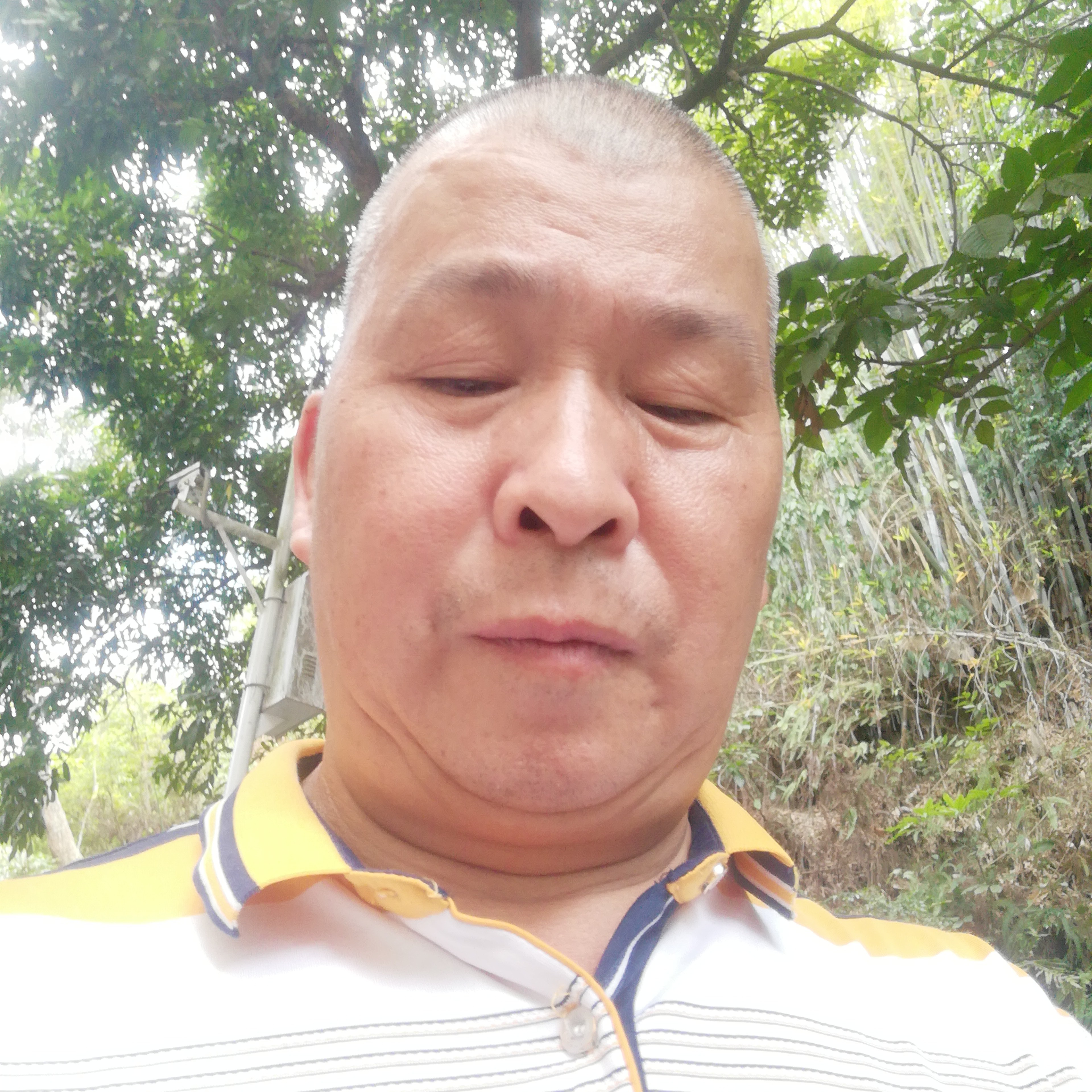 清秀愿早晨的照片