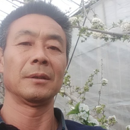 会员581294120的照片