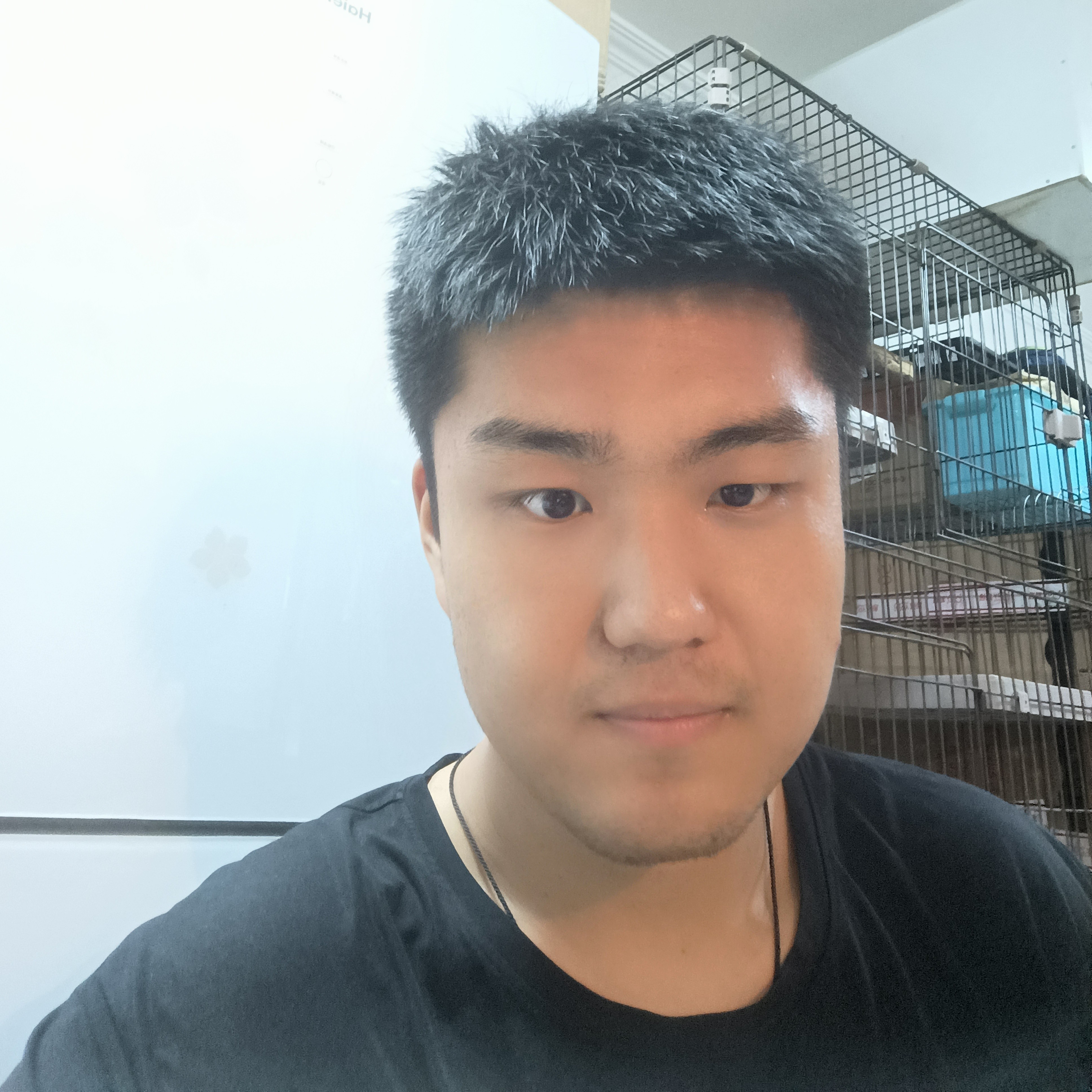 溪流等待懵懂的照片