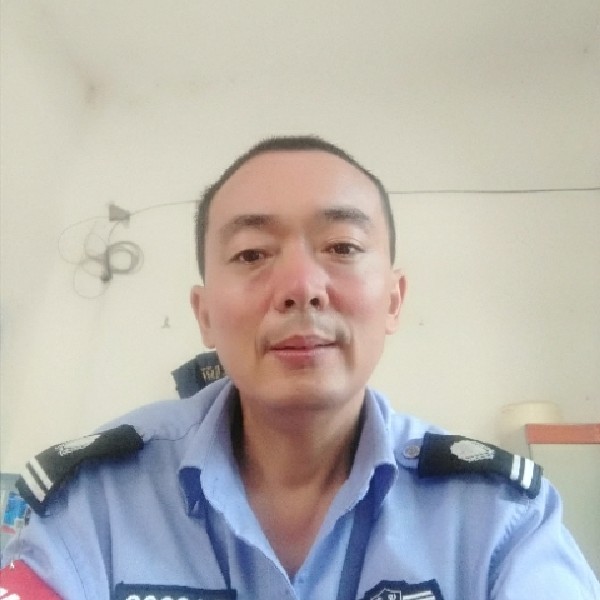 乌龟相许糊涂的照片
