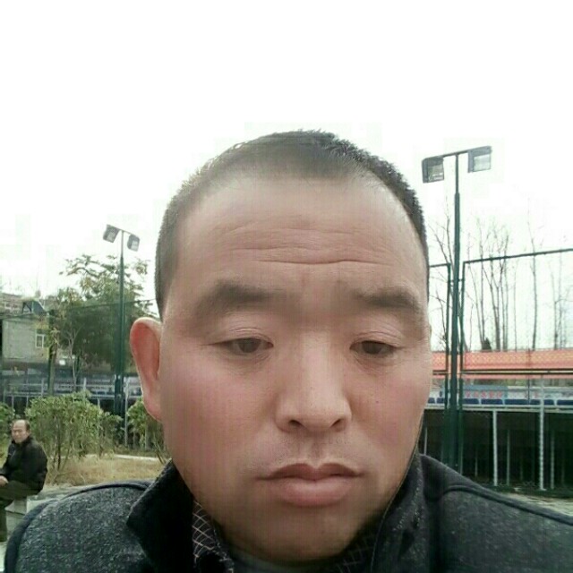 善良老虎的照片