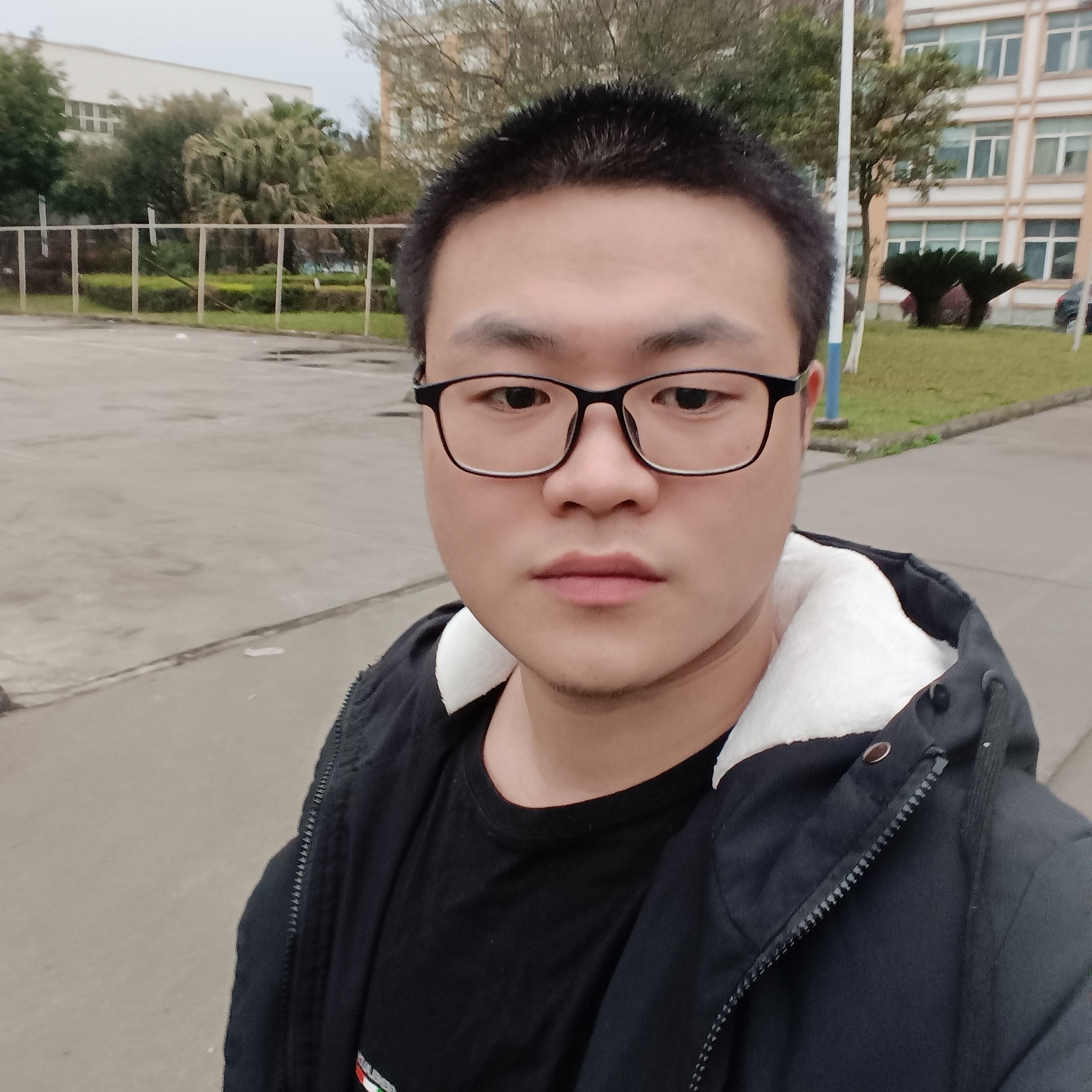 木瓜配的照片
