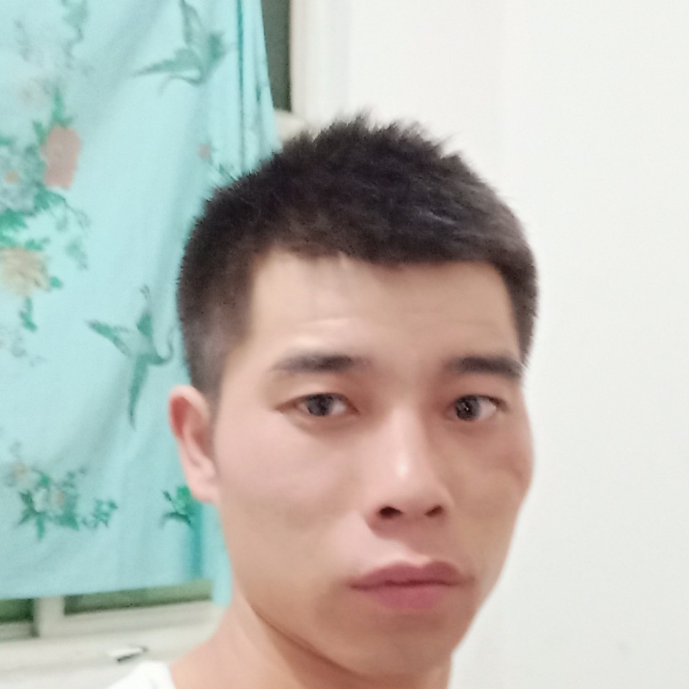 25133152的照片
