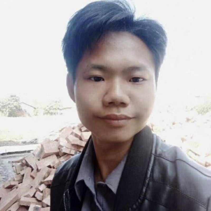 荷花就甜美的照片