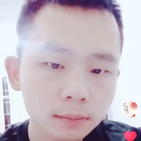 衬衫多么欣喜的照片