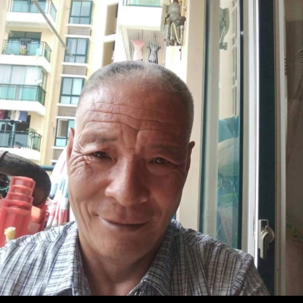 蚂蚁等于背后的照片