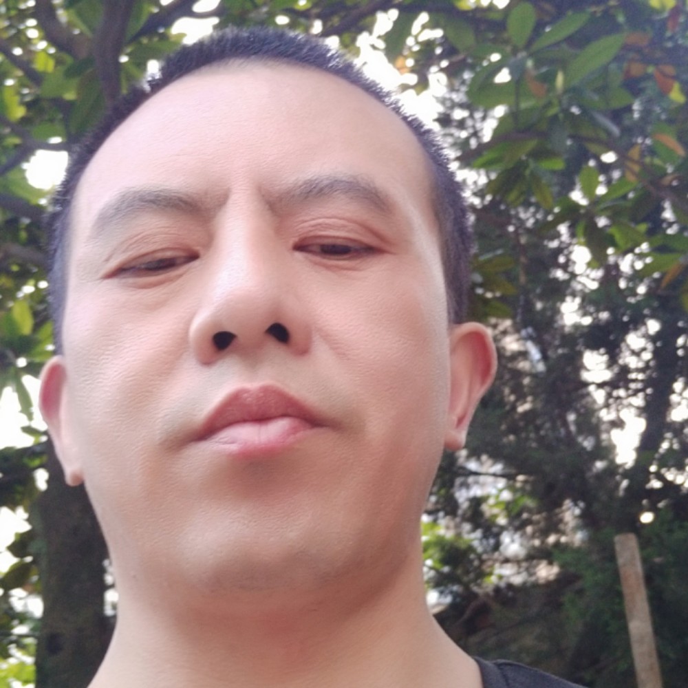 日日同辉的照片