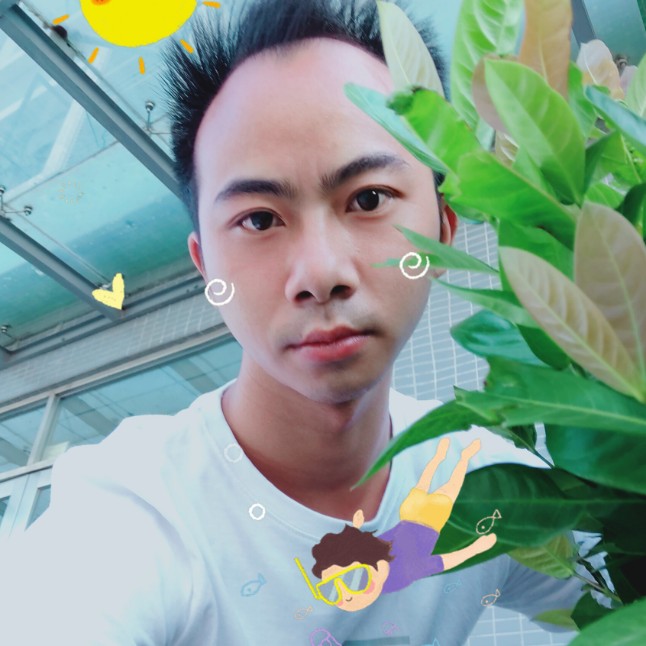 失眠小刺猬的照片