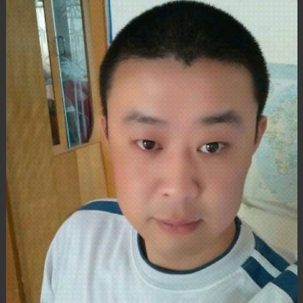 爱晚红枫的照片