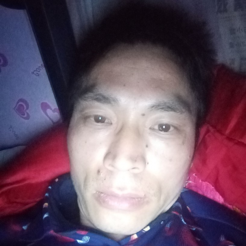 粤豫有约的照片