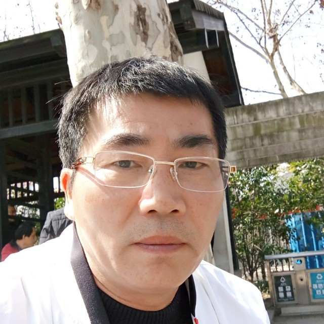 平淡和仙人掌的照片