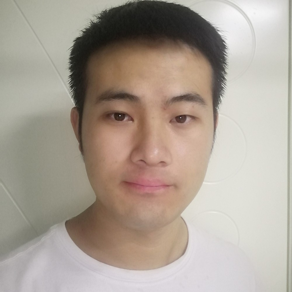 飞鸟回首俊逸的照片