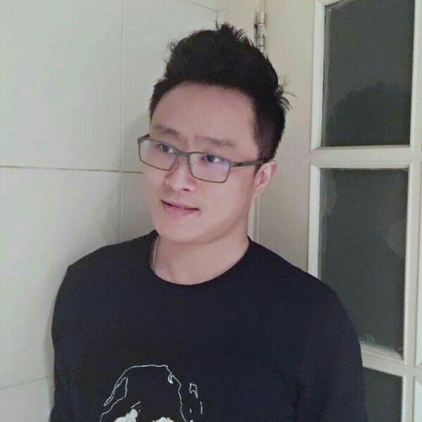 小鸽子义气的照片