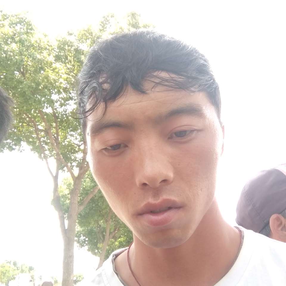 炮侠的照片