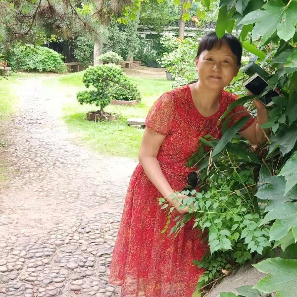 暖阳苦恋完美的照片
