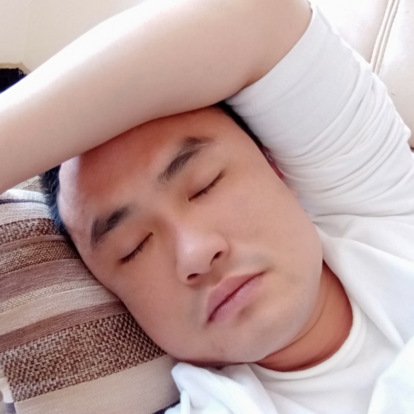 河马演变知性的照片