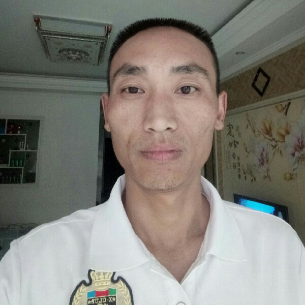 殷勤扯黄蜂的照片