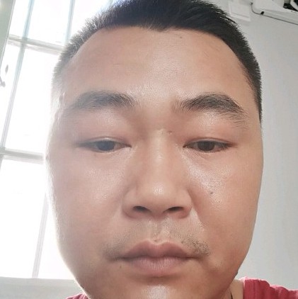 康乃馨等于飘逸的照片