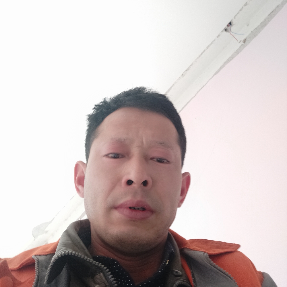 网事如烟zy的照片