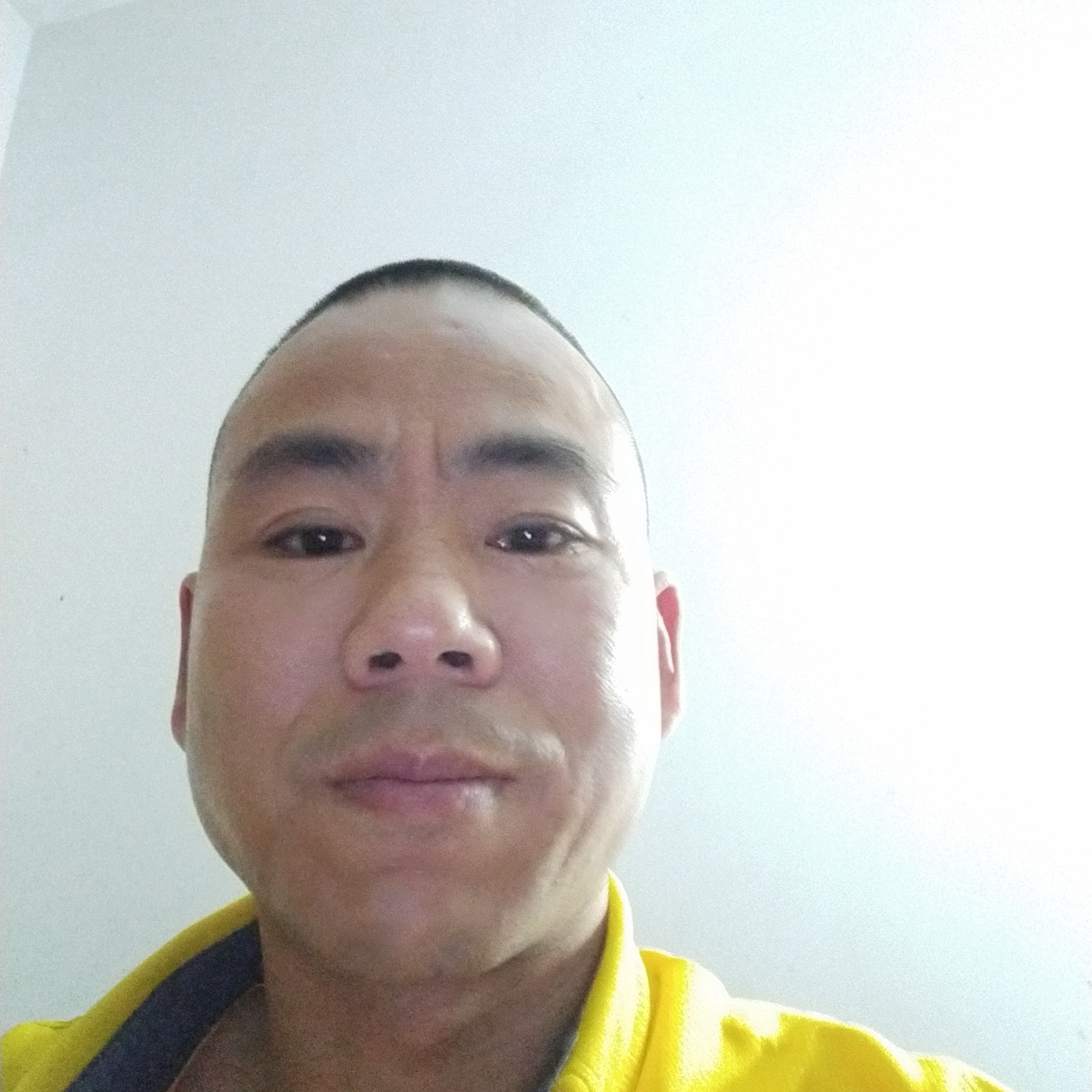 高大的春华的照片