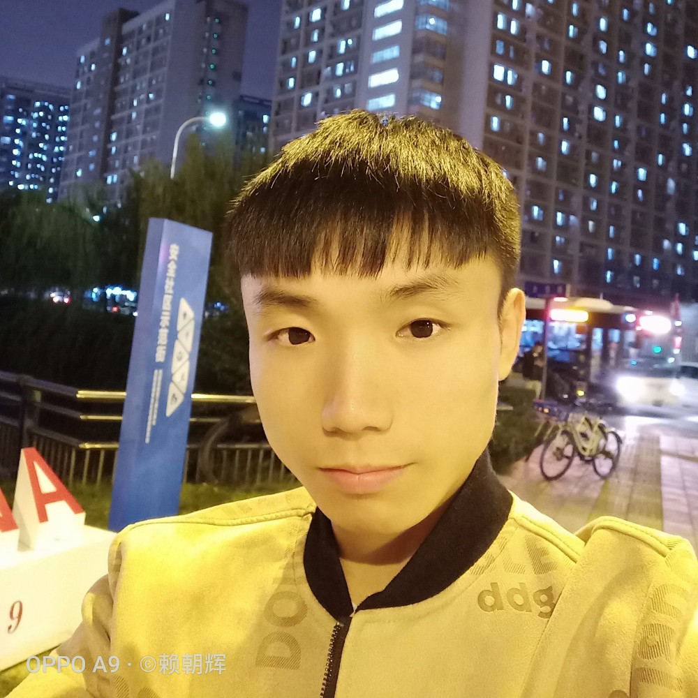 善良迎灰狼的照片