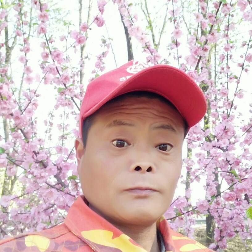 W随便的照片