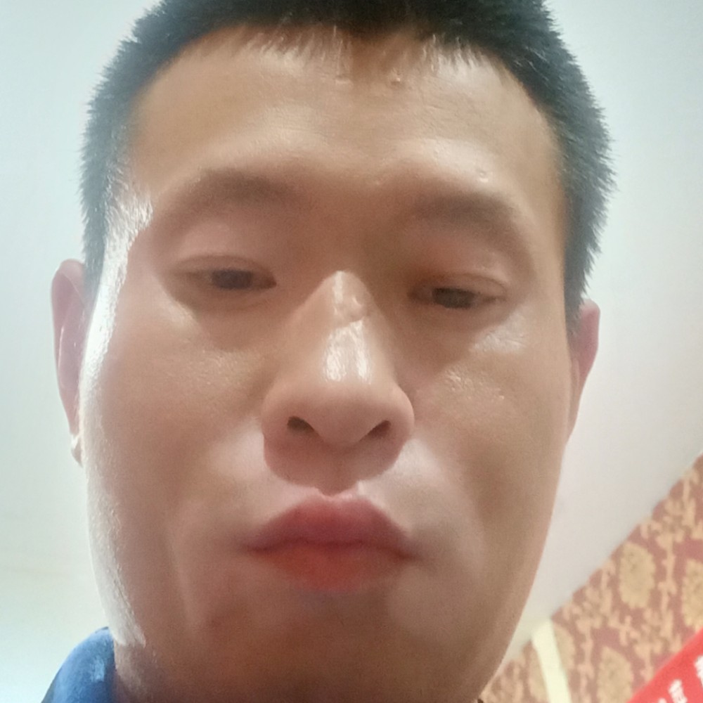 绚烂的蜜蜂的照片