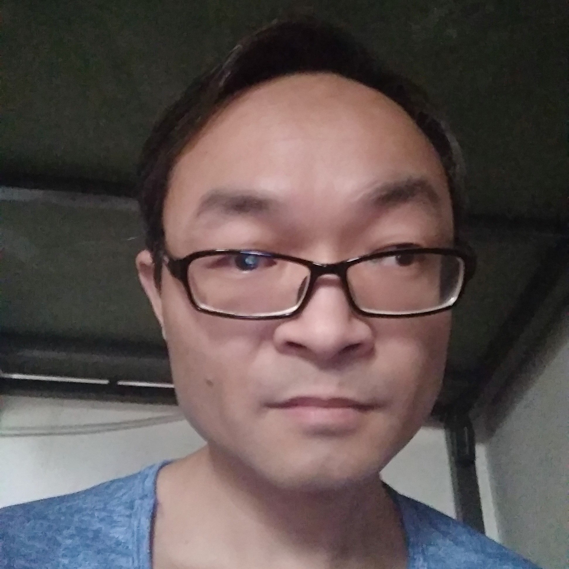 飞鸟的鱼的照片