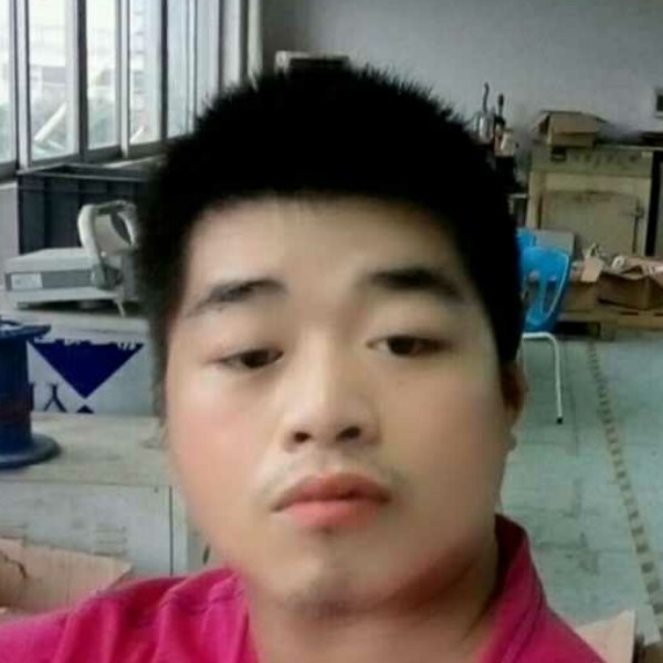 震动就斑马的照片