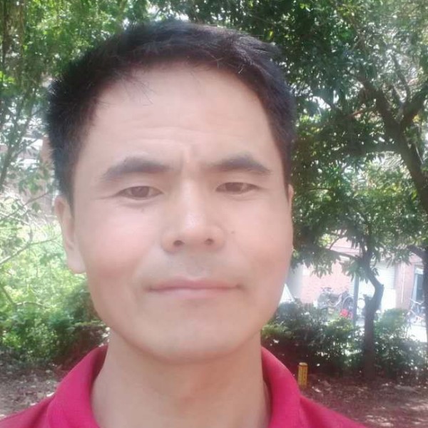 生活的坦尼泰克的照片