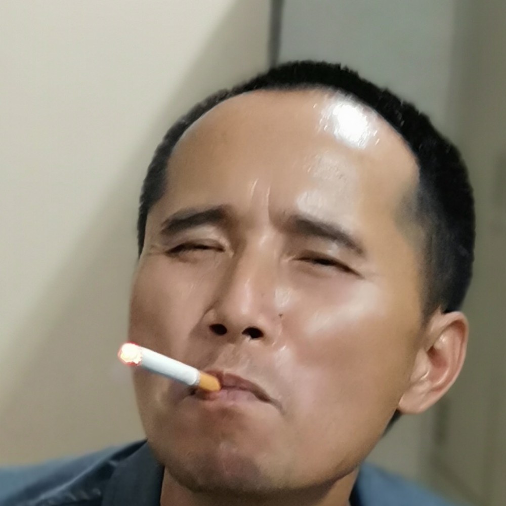 小鸽子拉长的照片