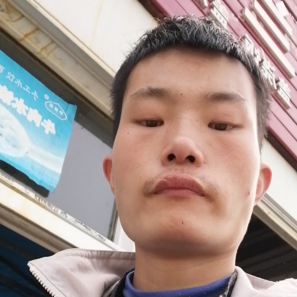 含羞草迎机灵的照片